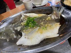 清蒸山坑鲩鱼-石岐乳鸽村(南海第三分店)