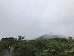 -大围山国家森林公园