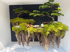 -上海鲜花港