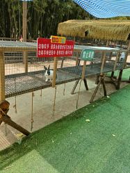 -上美四季动物农场