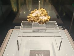 -安徽省地质博物馆