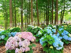 -武汉园博园(武汉自然博物馆)