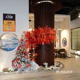 冬日进补之野生菌