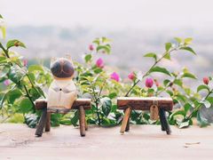 -丽江花间堂·隐泉院