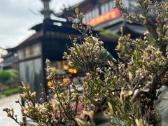 -西林禅寺