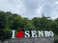 -杭州开元森泊度假乐园