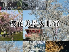 -堤角公园