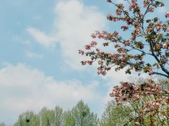 -洋湖国家湿地公园