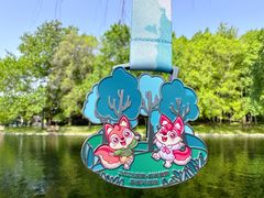 -上海共青森林公园