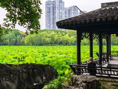 -高子水居