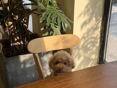 -小意思咖啡店(草桥店)