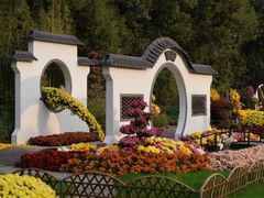 -上海共青森林公园