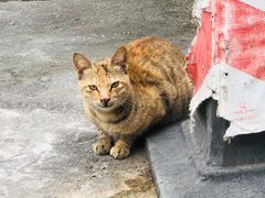 -新合益乡村农庄