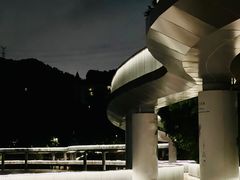 -银湖山郊野公园-相思林