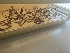 -中旅阿那亚九龙湖·公主酒店
