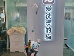 -爱洗澡的猫(望京店)