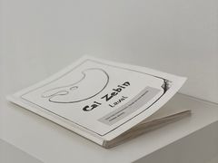 -胶囊画廊
