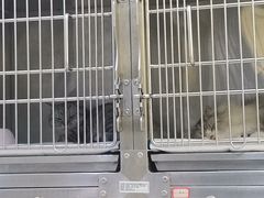 -佳雯宠物医院(信河分店)