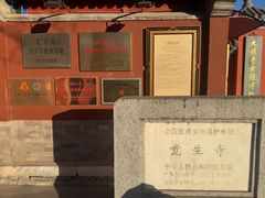 -大钟寺古钟博物馆
