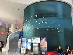 -深圳东部华侨城瀑布酒店