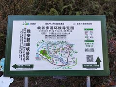 -中国大熊猫保护研究中心雅安碧峰峡基地