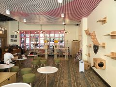 大堂-喵匠猫主题咖啡(凯德和平广场店)