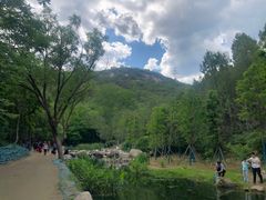 -白水寺森林公园