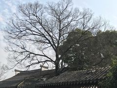 -祝家花園(伯渎港店)