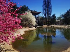 -国家植物园南园