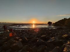 -宝安西湾红树林湿地公园