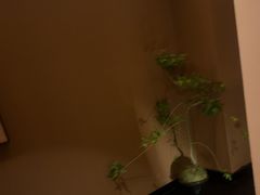 -泰·菩提树下[泰式按摩x精油SPAx肩颈头疗](新景店)