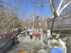 -抱犊寨风景区