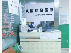 -半岛宠物医院24小时(科华中路店)