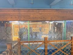 -海合安青岛极地海洋公园