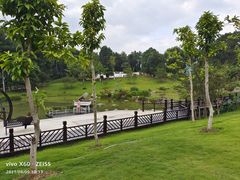 -铁山坪森林公园