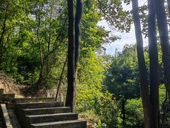 -火炉山森林公园