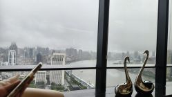 -智美品质医美