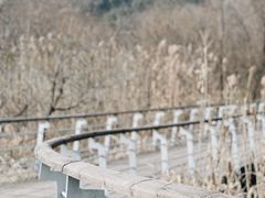 -西湖风景区-江洋畈生态公园