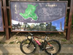 -上海佘山国家森林公园天马山园