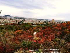 -府君山公园