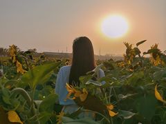 -映月湖中央公园