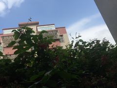 景观位-大自然素食(望桐路店)