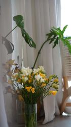 -YogaTime瑜伽时光