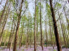 -河南省黄河迎宾馆