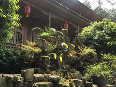 -铁山坪森林公园