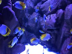 -成都浩海立方海洋公园