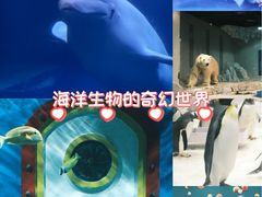 -大连圣亚海洋世界