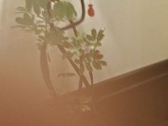 -涟LIAN·泰式按摩·MASSAGE·SPA(深业上城店)