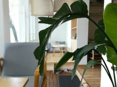 -茶庐(百花洲路店)