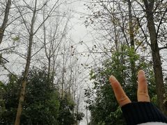 -三圣花乡旅游区